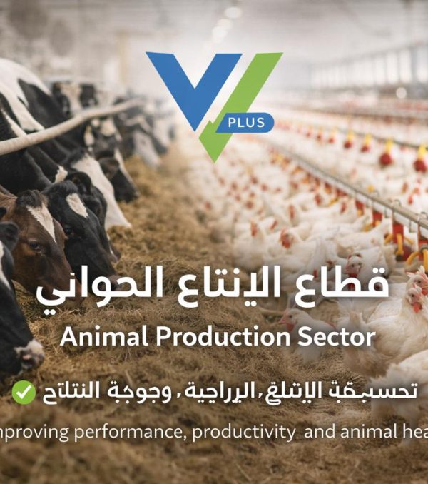 WhatsApp Image 2026-02-12 at 1.35.01 PM